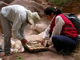 植物都是被誰發(fā)現(xiàn)的？