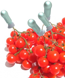 植物說，我們也要喝飲料!