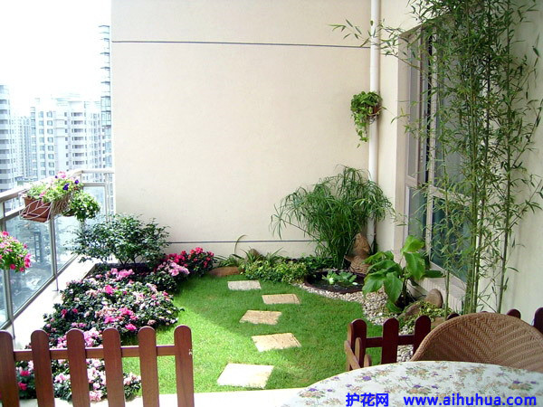 除甲醛，竹炭綠植給力否？