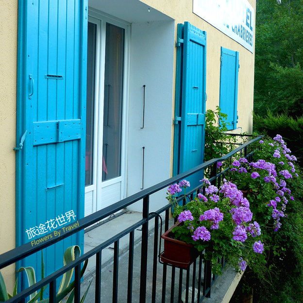 來(lái)自歐洲的“窗花”